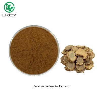 Extrakt z Curcuma Zedoaria